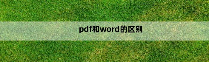 pdf和word的区别