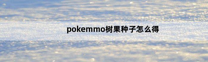 pokemmo树果种子怎么得