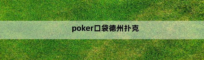 poker口袋德州扑克