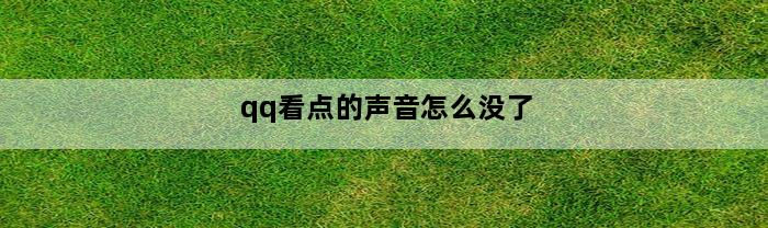 qq看点的声音怎么没了