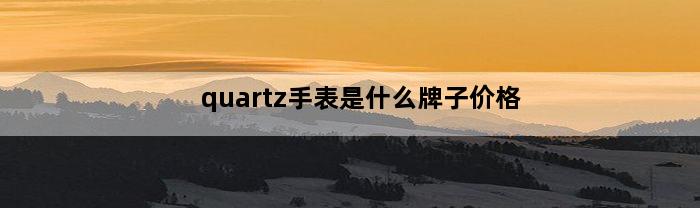 quartz手表是什么牌子价格