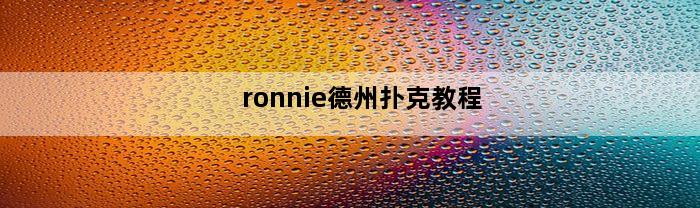 ronnie德州扑克教程