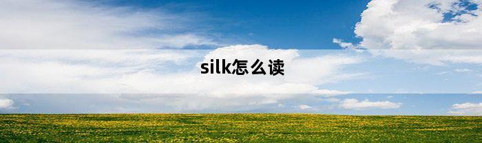 silk怎么读