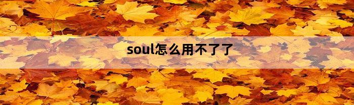 soul怎么用不了了