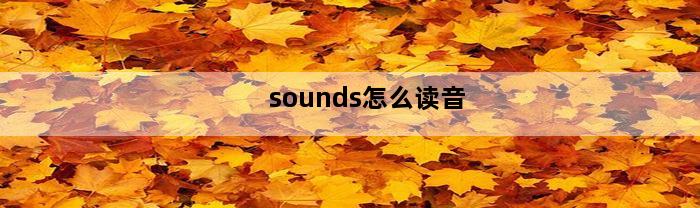 sounds怎么读音