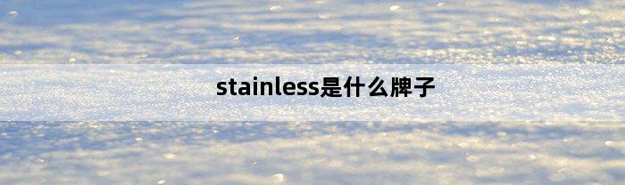 stainless是什么牌子