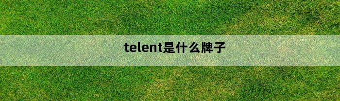 telent是什么牌子