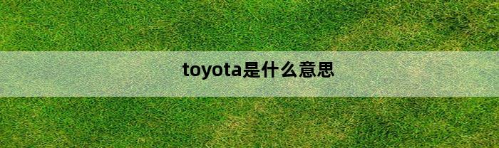 toyota是什么意思