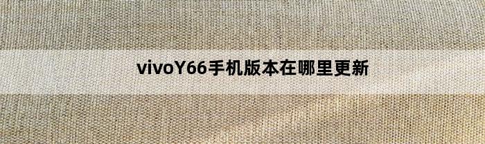 vivoY66手机版本在哪里更新