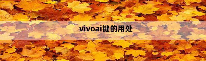 vivoai键的用处