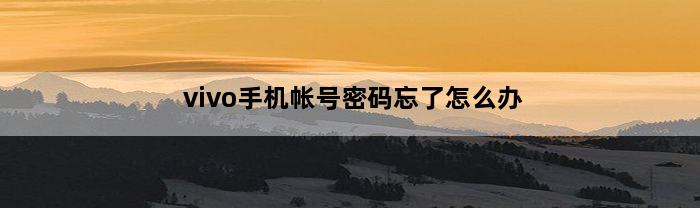 vivo手机帐号密码忘了怎么办