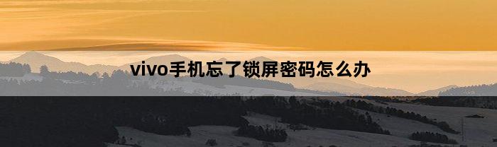 vivo手机忘了锁屏密码怎么办