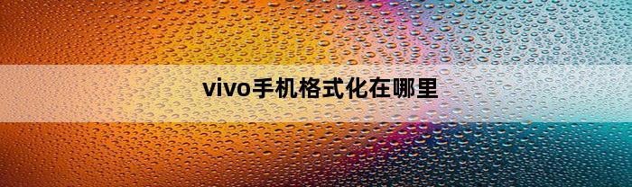 vivo手机格式化在哪里