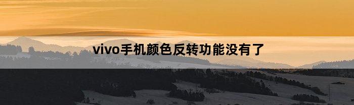 vivo手机颜色反转功能没有了