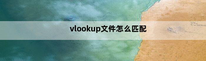 vlookup文件怎么匹配