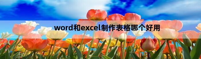 word和excel制作表格哪个好用