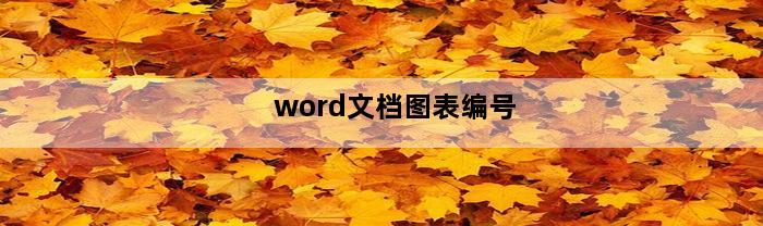 word文档图表编号