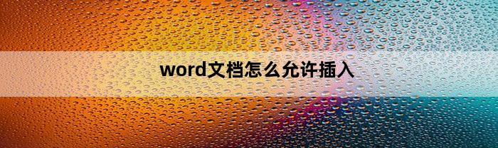 word文档怎么允许插入