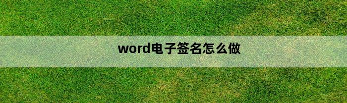 word电子签名怎么做