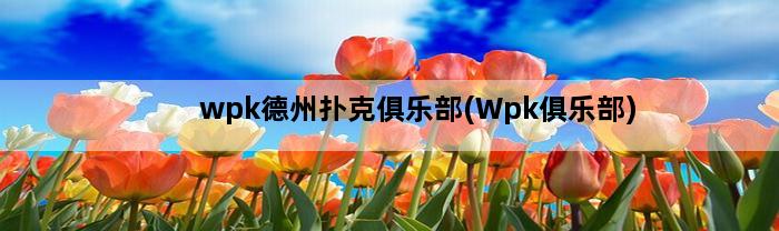 wpk德州扑克俱乐部(Wpk俱乐部)