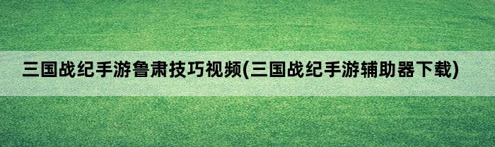 三国战纪手游鲁肃技巧视频(三国战纪手游辅助器下载)