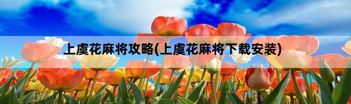 上虞花麻将攻略(上虞花麻将下载安装)