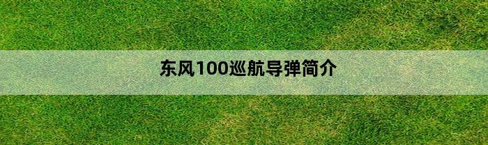 东风100巡航导弹简介