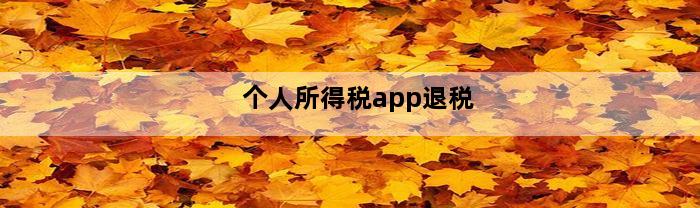 个人所得税app退税