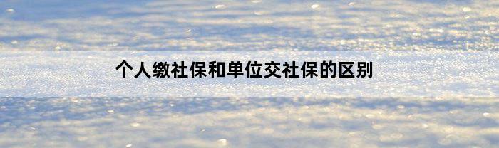 个人缴社保和单位交社保的区别