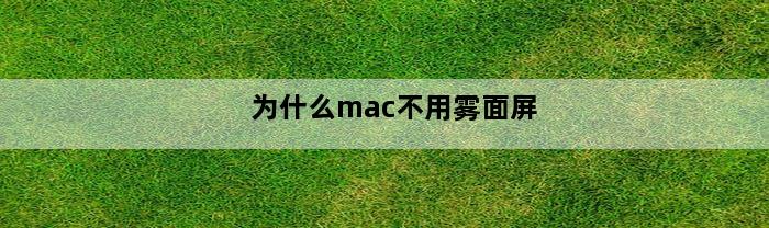 为什么mac不用雾面屏