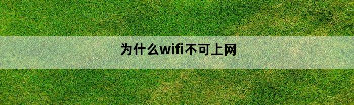 为什么wifi不可上网