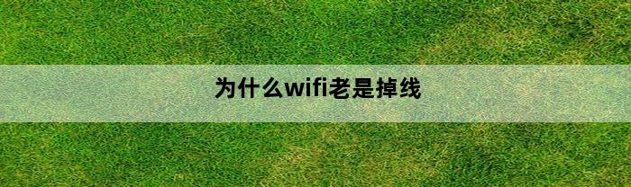 为什么wifi老是掉线