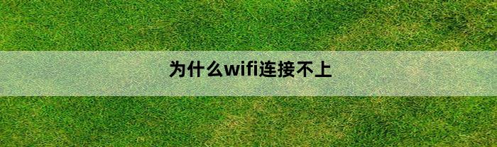 为什么wifi连接不上