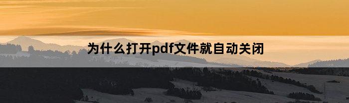 为什么打开pdf文件就自动关闭