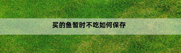 买的鱼暂时不吃如何保存