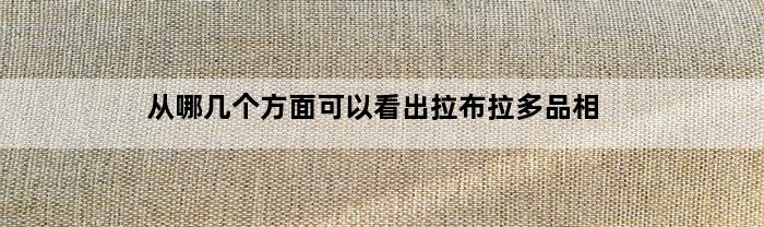 从哪几个方面可以看出拉布拉多品相