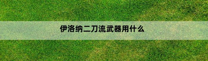 伊洛纳二刀流武器用什么