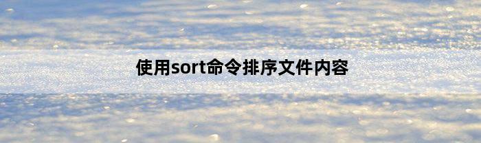 使用sort命令排序文件内容