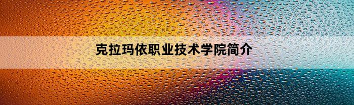 克拉玛依职业技术学院简介