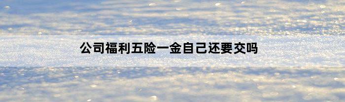 公司福利五险一金自己还要交吗