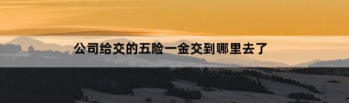 公司给交的五险一金交到哪里去了