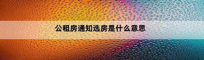 公租房通知选房是什么意思