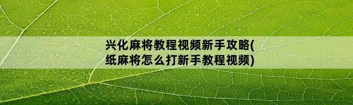 兴化麻将教程视频新手攻略(纸麻将怎么打新手教程视频)