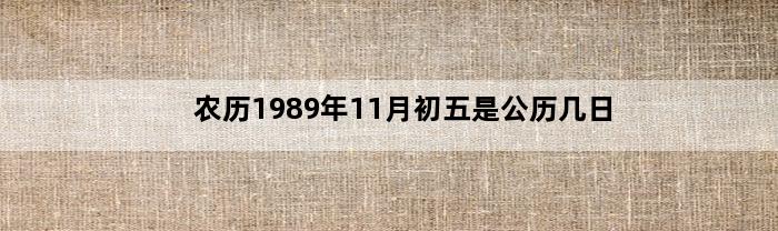 农历1989年11月初五是公历几日