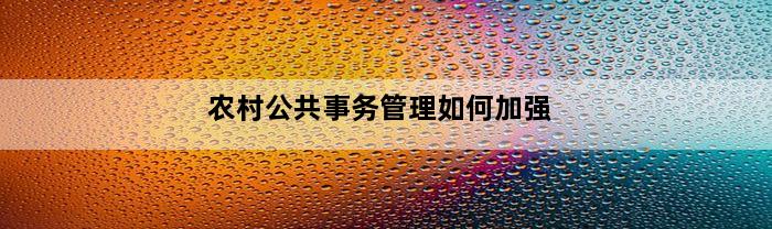 农村公共事务管理如何加强