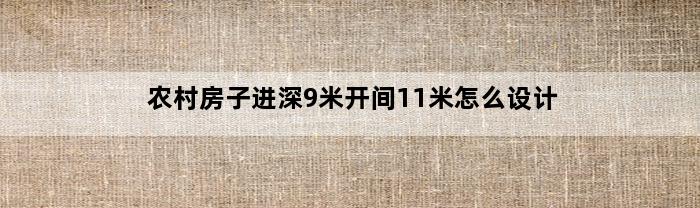 农村房子进深9米开间11米怎么设计