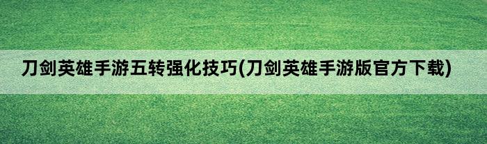 刀剑英雄手游五转强化技巧(刀剑英雄手游版官方下载)