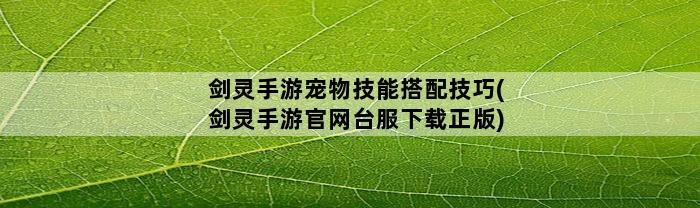 剑灵手游宠物技能搭配技巧(剑灵手游官网台服下载正版)