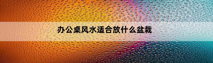 办公桌风水适合放什么盆栽