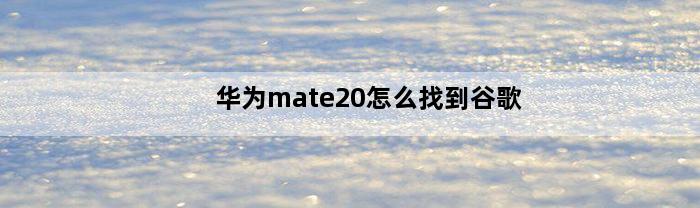 华为mate20怎么找到谷歌